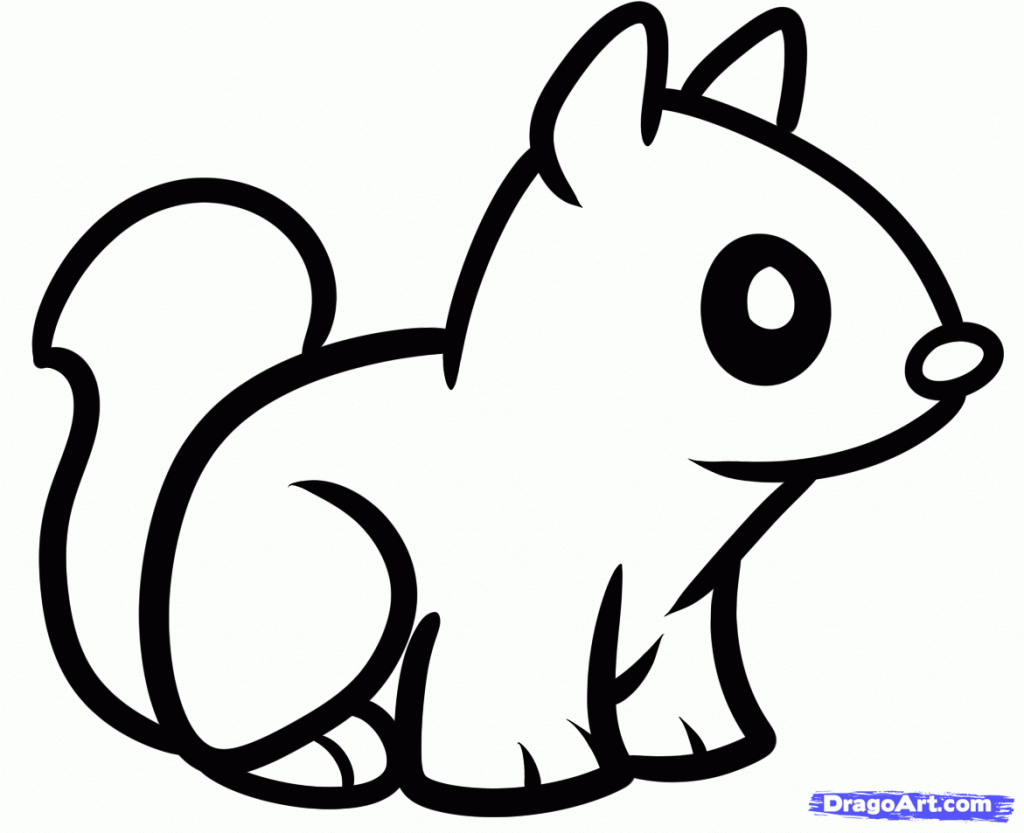 Squirrel Drawing Easy at Explore collection of