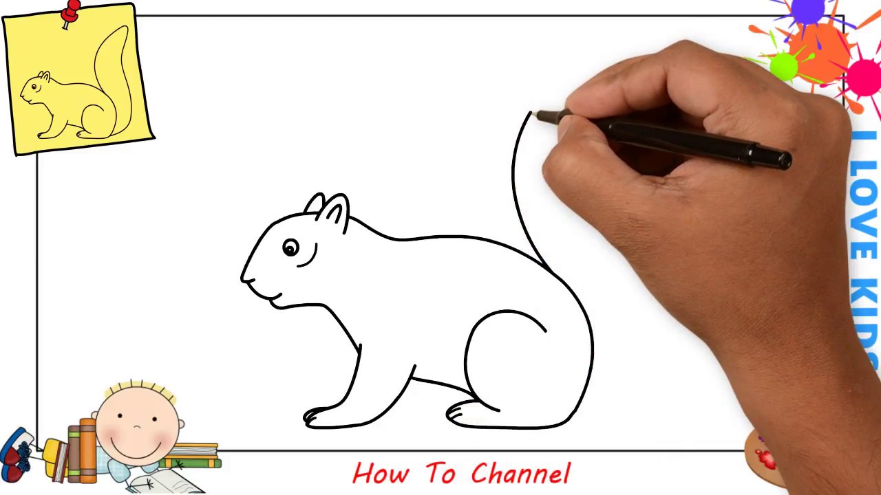 1280x720 How To Draw A Squirrel Easy Step - Squirrel Drawing Pictures