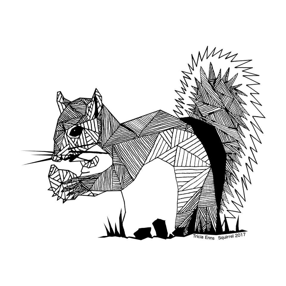 960x960 Squirrel Drawing - Squirrel Drawing Pictures