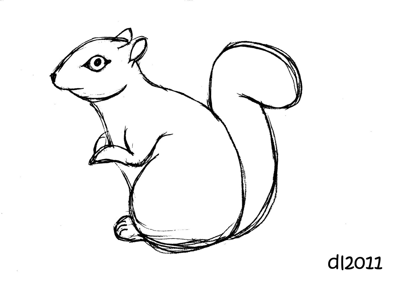 1600x1143 Squirrel Drawing Easy Squirrel Drawing Easy Drawn Squirrel Line - Squirrel Drawing Step By Step