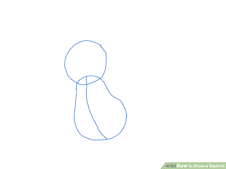 728x546 Easy Ways To Draw A Squirrel - Squirrel Drawing Step By Step