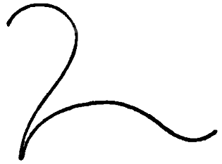 315x233 Step How To Draw Cartoon Squirrels With Easy Drawing Lesson - Squirrel Drawing Step By Step