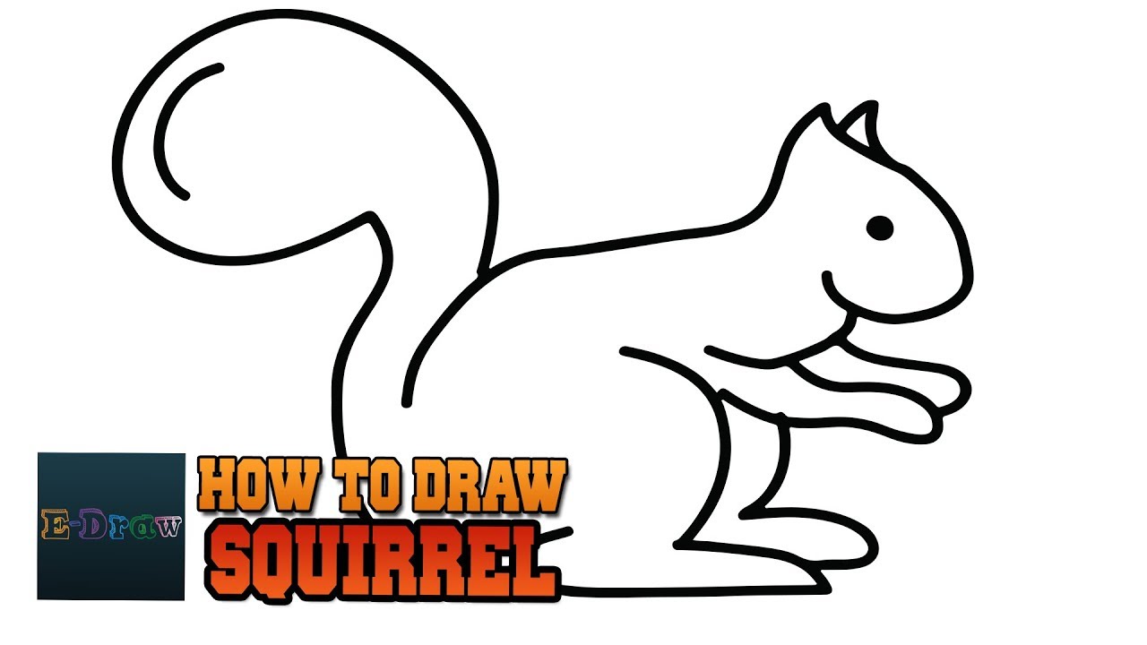 1280x720 How To Draw A Squirrel Step - Squirrel Drawing Step By Step