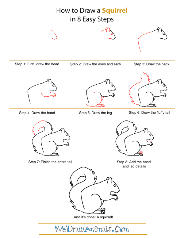 600x776 How To Draw A Squirrel - Squirrel Drawing Step By Step