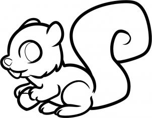302x235 How To Draw How To Draw A Squirrel For Kids - Squirrel Images Drawing