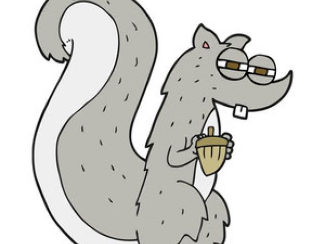 640x480 Gray Squirrel Clipart Tree Drawing - Squirrel In Tree Drawing