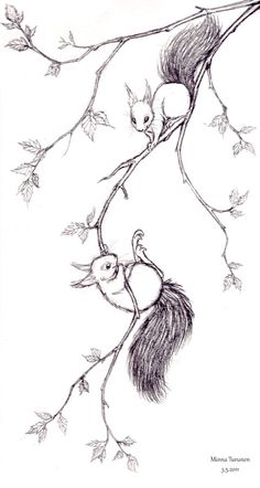 236x442 How To Draw A Squirrel Learn To Draw Drawings, Squirrel - Squirrel In Tree Drawing