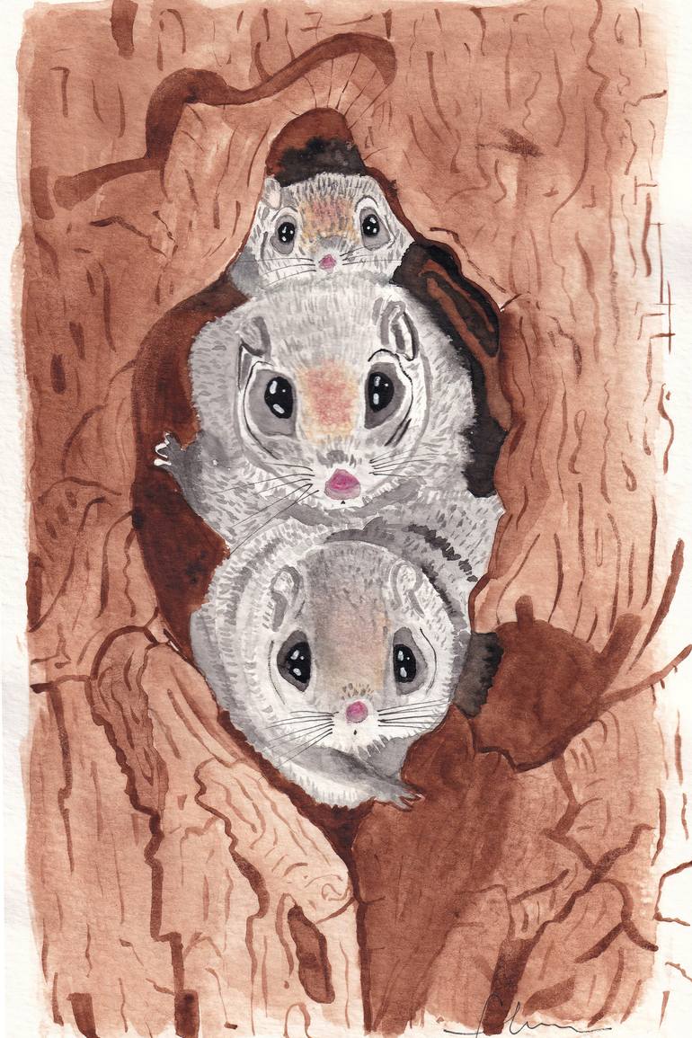 770x1155 Japanese Squirrel On A Tree Drawing - Squirrel In Tree Drawing