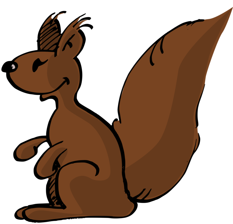783x750 red squirrel eastern gray squirrel cartoon tree squirrel drawing - Squirrel In Tree Drawing