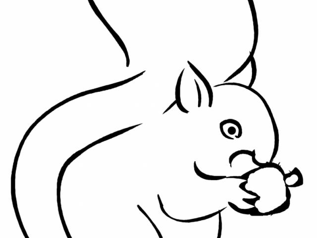 640x480 Drawn Squirrel Tree Drawing - Squirrel In Tree Drawing