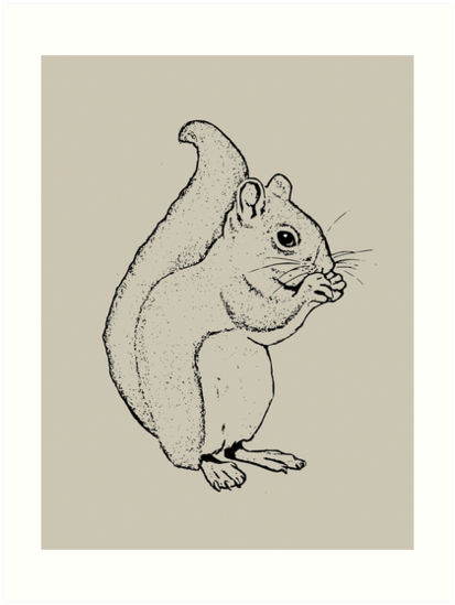 413x549 squirrel eating line drawing of cute squirrel art prints - Squirrel Line Drawing