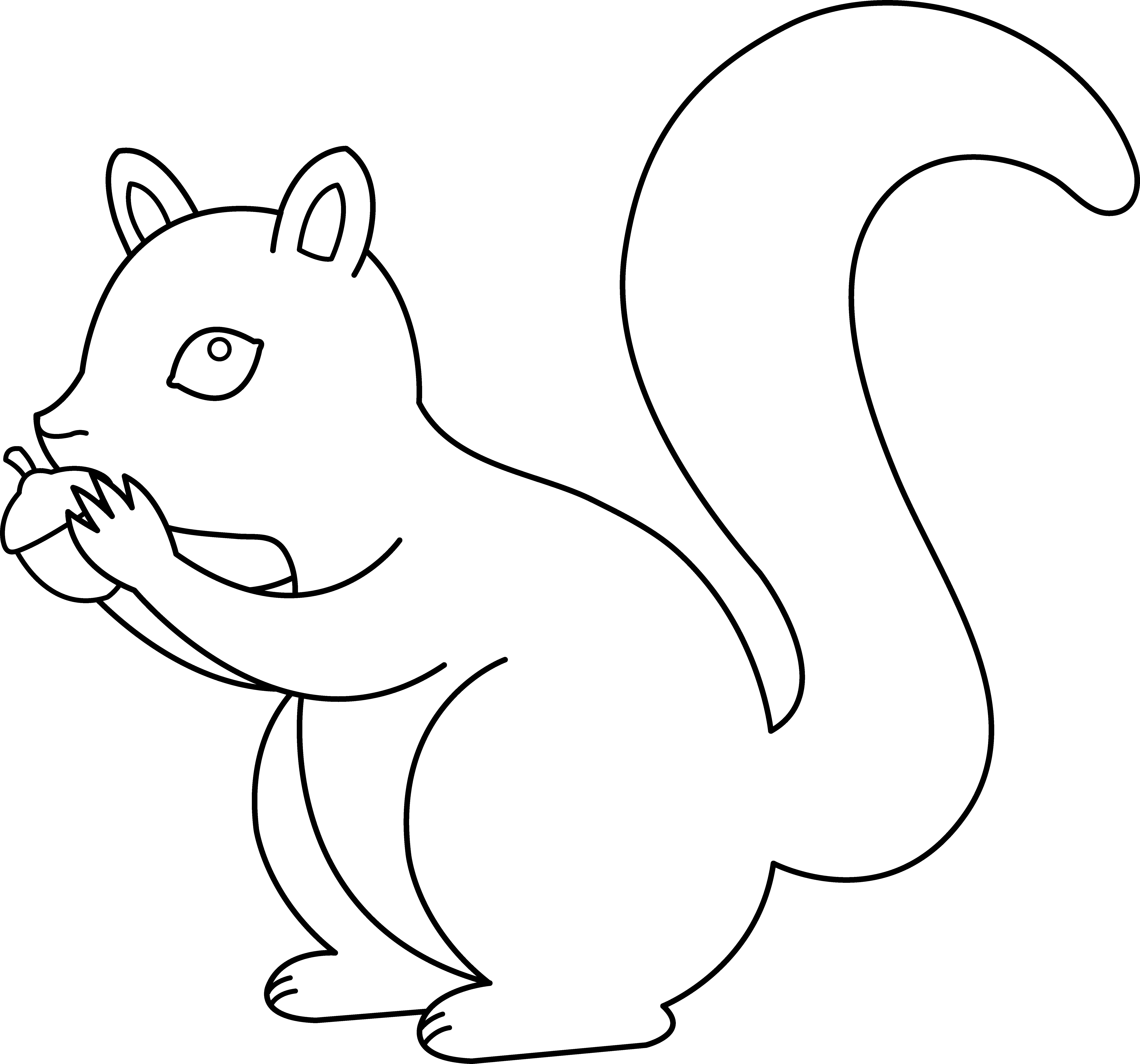 6749x6301 Squirrel Line Art - Squirrel Line Drawing