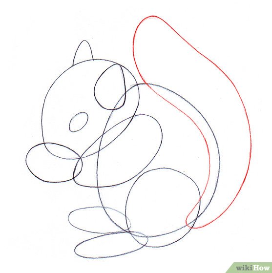557x559 Easy Ways To Draw A Squirrel - Squirrel Line Drawing