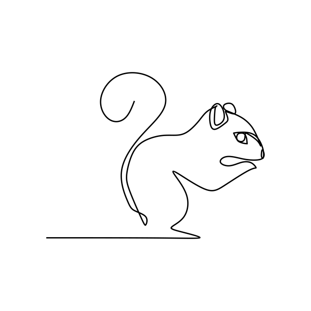 640x640 squirrel one line art drawing vector, squirrel, cute, drawing png - Squirrel Line Drawing
