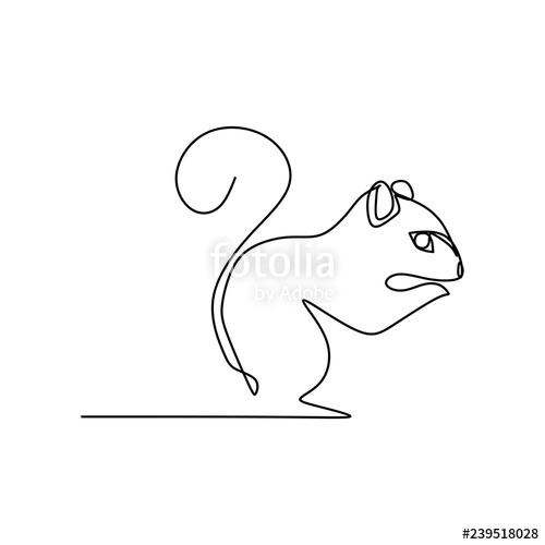 500x500 Squirrel One Line Art Drawing Vector Stock Image And Royalty Free - Squirrel Line Drawing