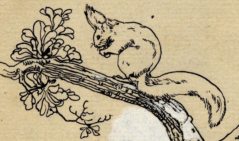 916x543 Animal Woodland Squirrel Line Drawing Vintage Printable - Squirrel Line Drawing