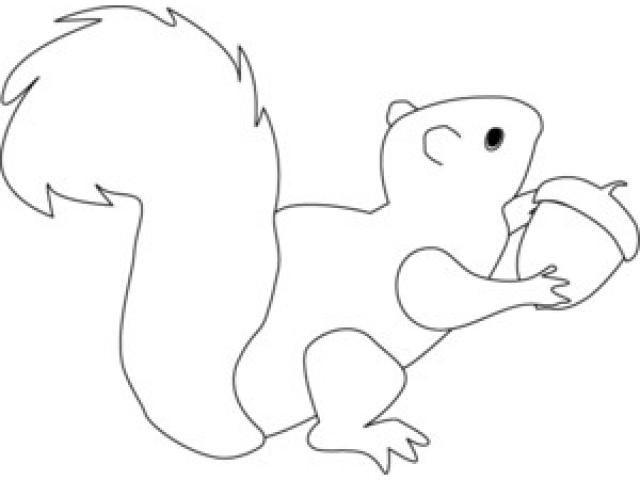 640x480 Drawn Squirrel Outline - Squirrel Outline Drawing