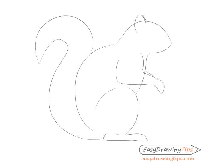 728x580 How To Draw A Squirrel From The Side View Tutorial - Squirrel Outline Drawing