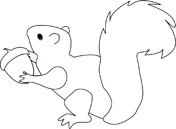 600x440 Outline Coloring Pages Squirrel Impressive Ideas On Christmas - Squirrel Outline Drawing