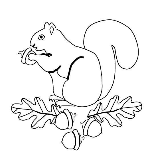 540x540 Squirrel Outline Drawing - Squirrel Outline Drawing