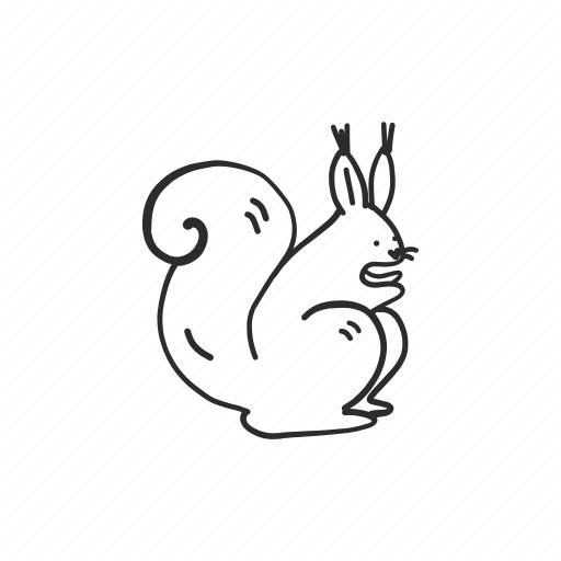 512x512 Squirrel Outline Transparent Png Clipart Free Download - Squirrel Outline Drawing