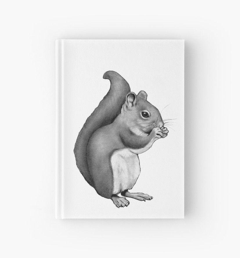 827x889 squirrel eating pencil drawing of cute squirrel hardcover - Squirrel Pencil Drawing