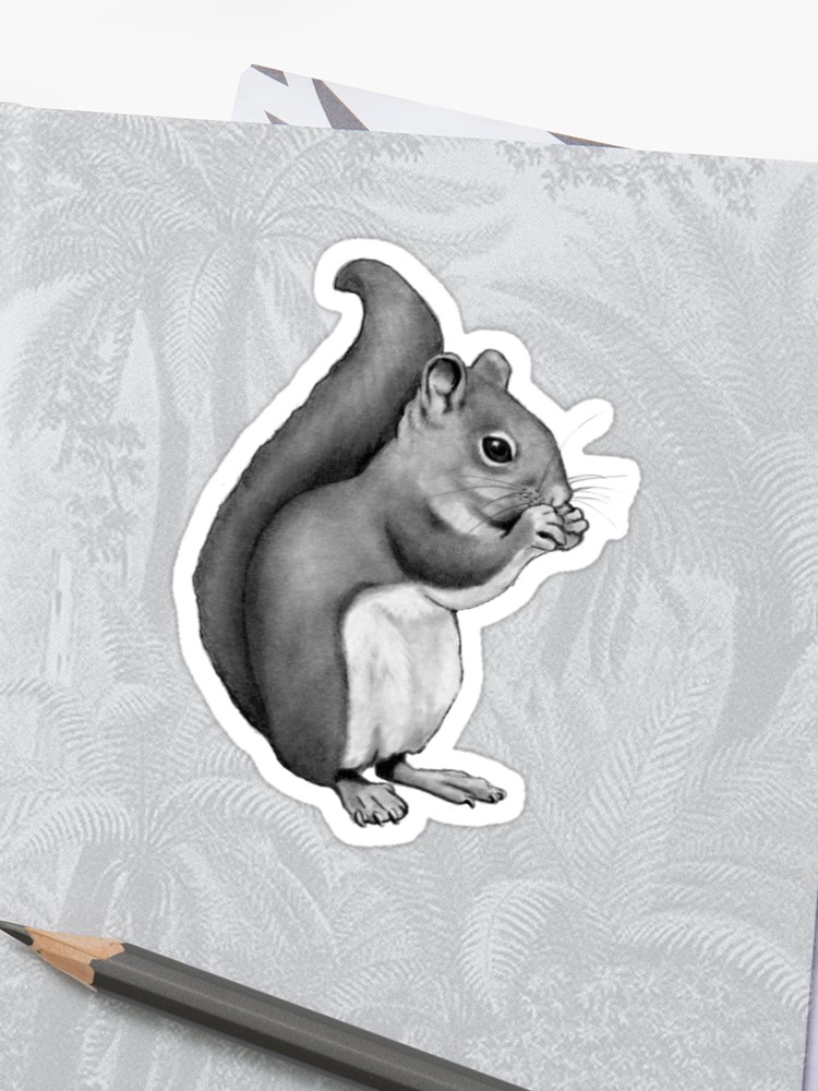 750x1000 squirrel eating pencil drawing of cute squirrel sticker - Squirrel Pencil Drawing