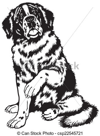 345x470 saint bernard, saint bernard photo puzzle - St Bernard Drawing