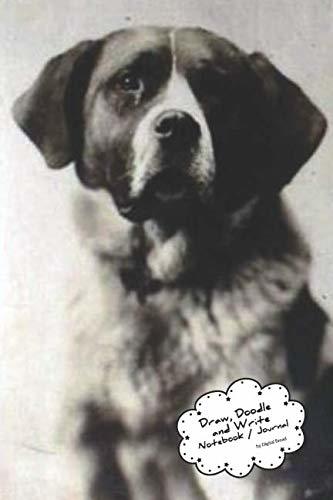 333x500 Draw, Doodle And Write Notebook Journal Vintage St Bernard - St Bernard Drawing