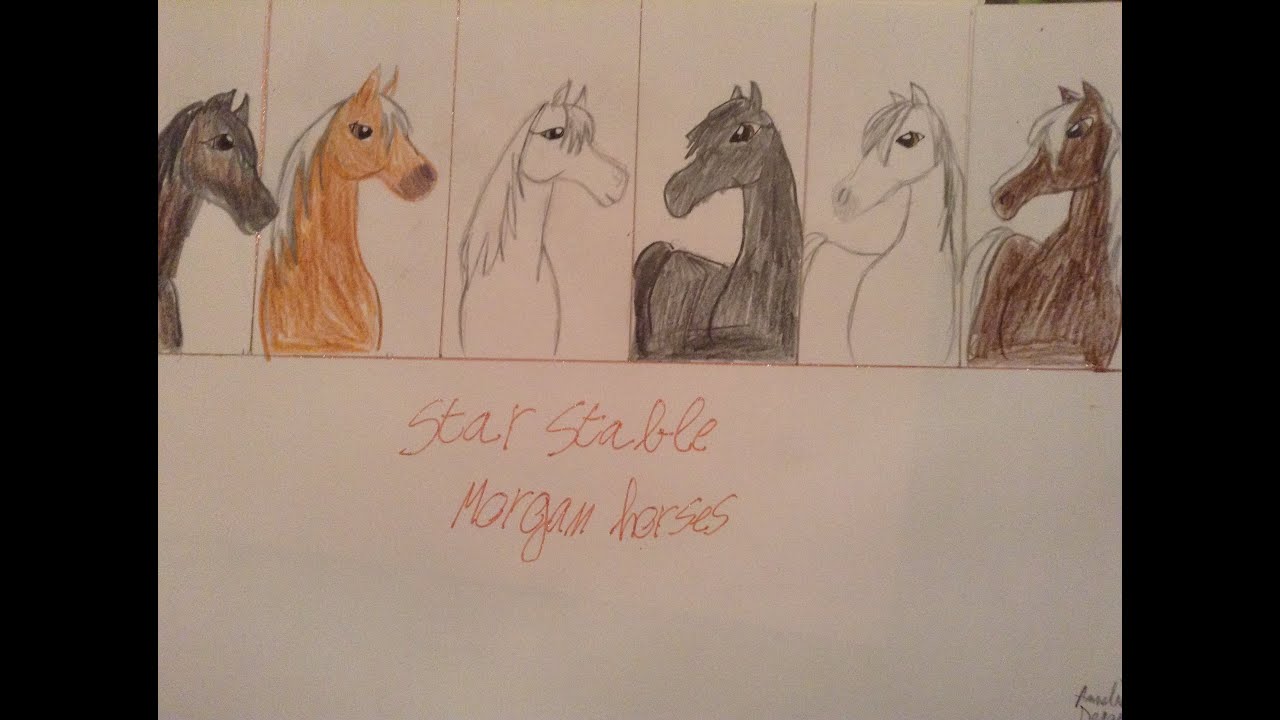1280x720 Drawing In Real Starstable Morgan Horses - Stable Drawing