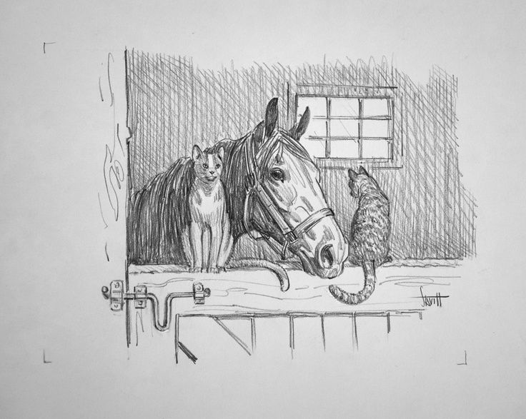 Stable Drawing at Explore collection of Stable Drawing