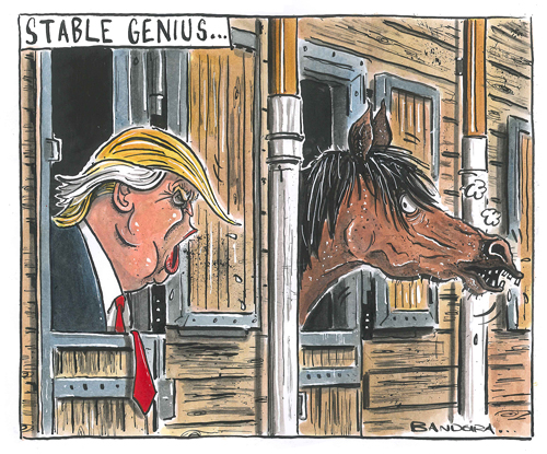 500x415 drawing attention great northern books - Stable Drawing