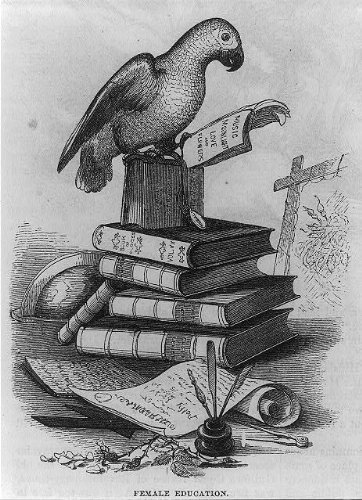 362x500 Photo Female Education, Parrot On Stack Of Books - Stack Of Books Drawing