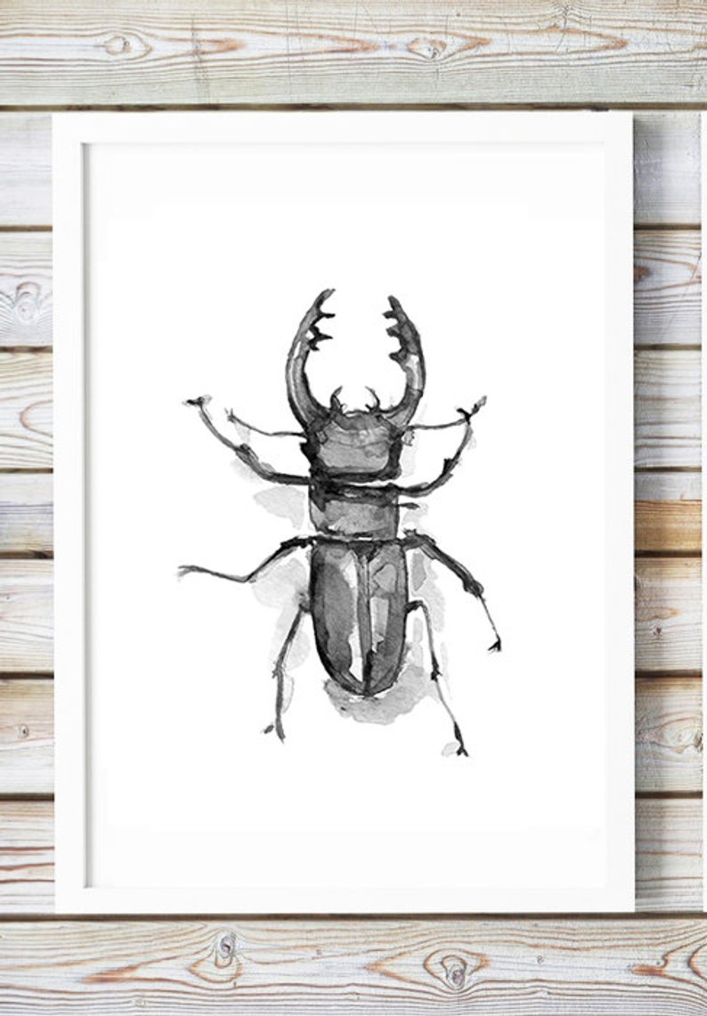 794x1141 stag beetle art bug watercolor stag beetle drawing print etsy - Stag Beetle Drawing