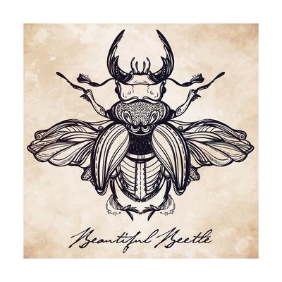 400x400 beautiful hand drawn antique stag beetle,the largest insect - Stag Beetle Drawing