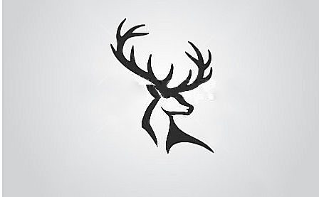 448x277 Entry - Stag Drawing