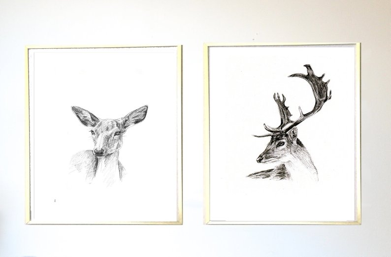 794x522 original hand drawn doe stag drawing print set black and etsy - Stag Drawing