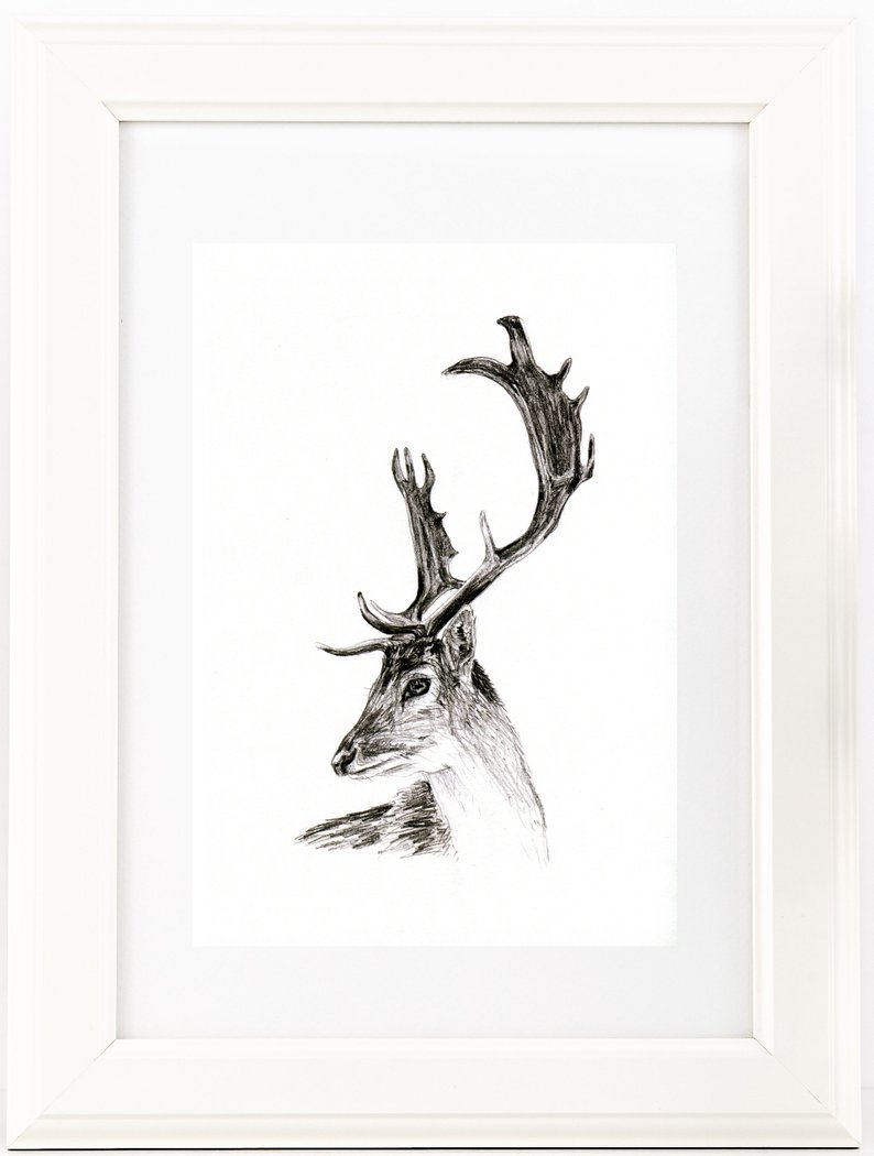 794x1050 original hand drawn stag drawing print black and white buck etsy - Stag Drawing