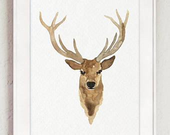 Stag Head Drawing at PaintingValley.com | Explore collection of Stag ...