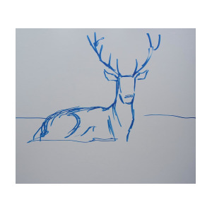 300x300 Stag With Antlers Lying Down Blue Line Drawing Drawing - Stag Line Drawing