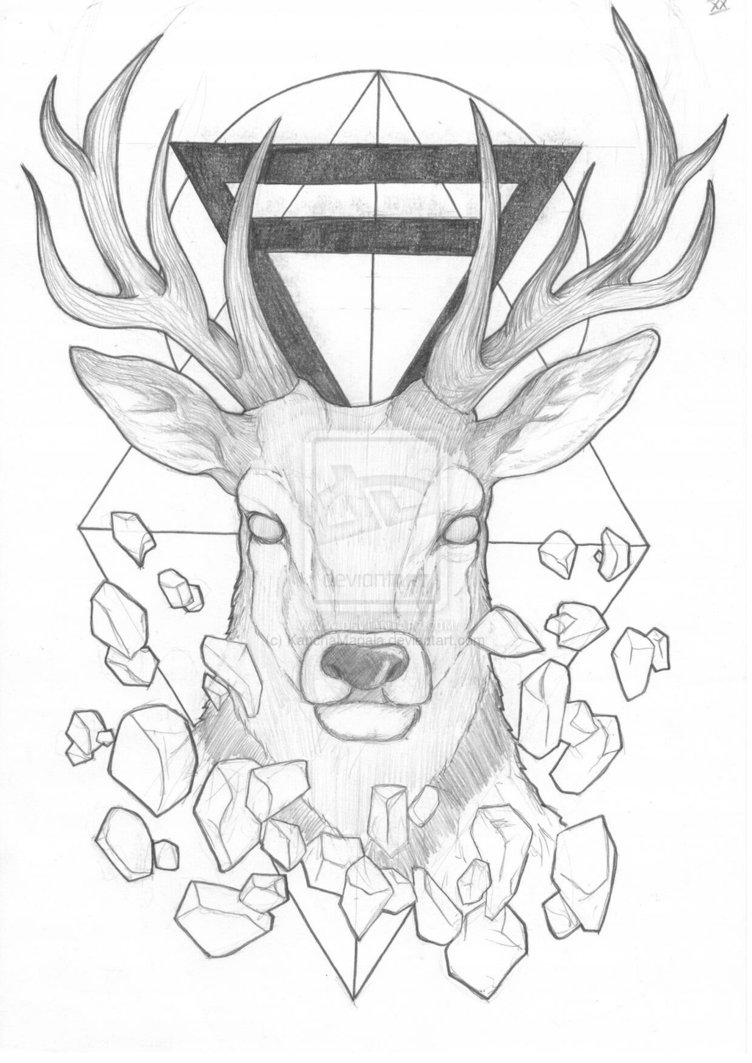 752x1063 Stag Head Tattoo - Stag Line Drawing