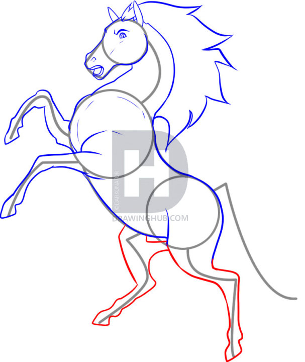607x720 how to draw a stallion, step - Stallion Drawing