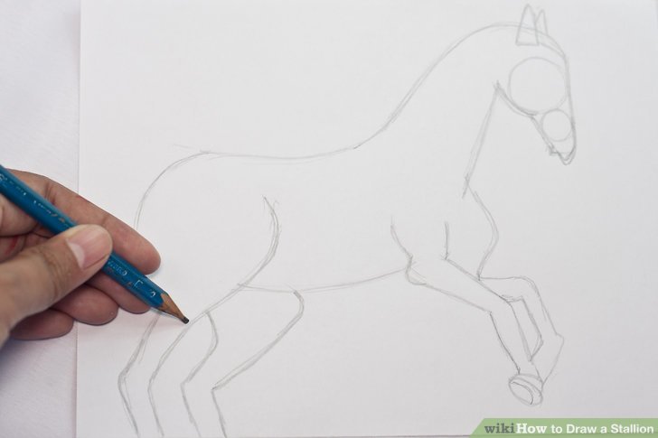 728x485 how to draw a stallion steps - Stallion Drawing