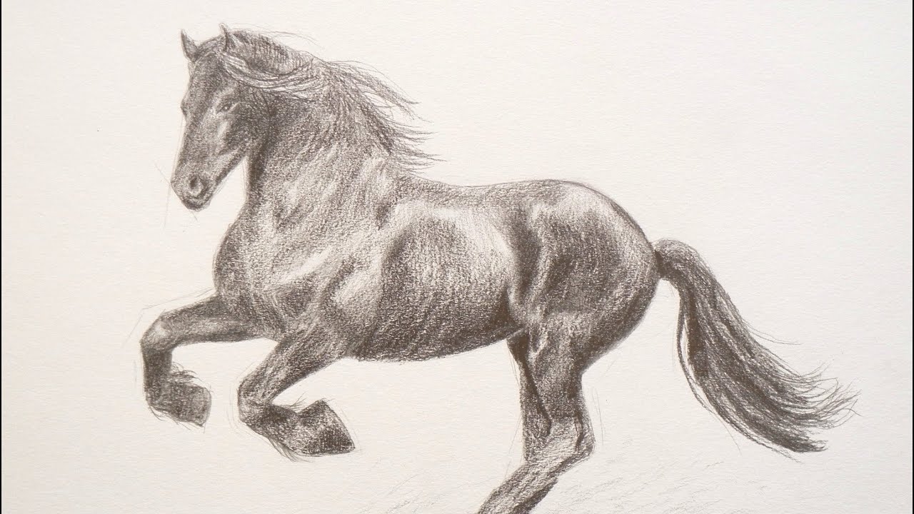 1280x720 Learning To Draw How To Draw A Horse - Stallion Drawing