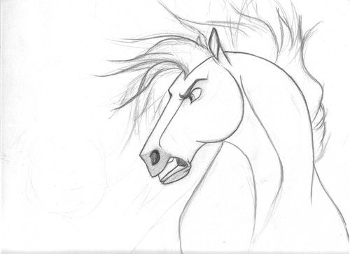 500x364 spirit stallion of the cimarron - Stallion Drawing