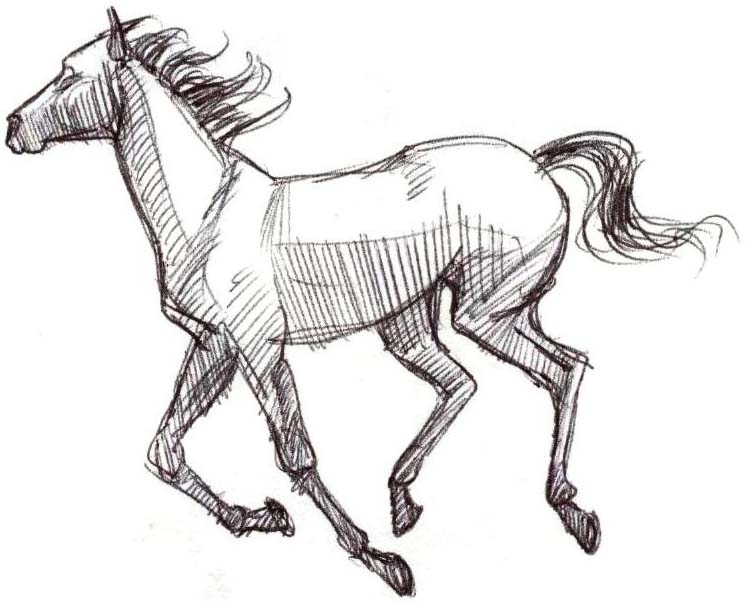 749x604 stallion drawing drawing skill - Stallion Drawing
