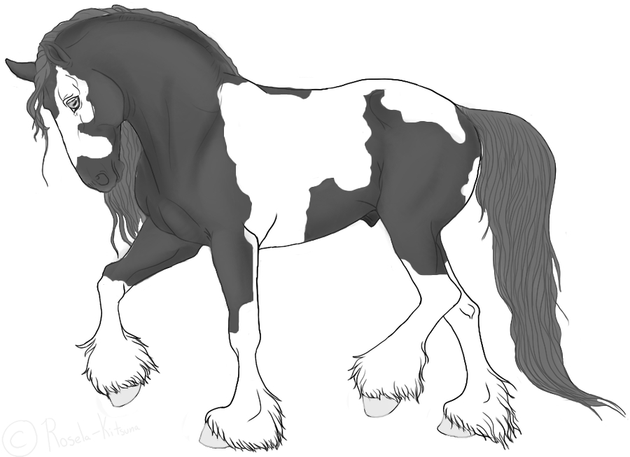 900x653 stallion drawing free download - Stallion Drawing