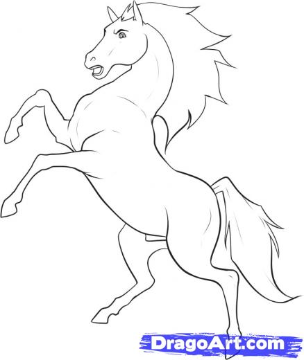 438x520 step how to draw a stallion - Stallion Drawing