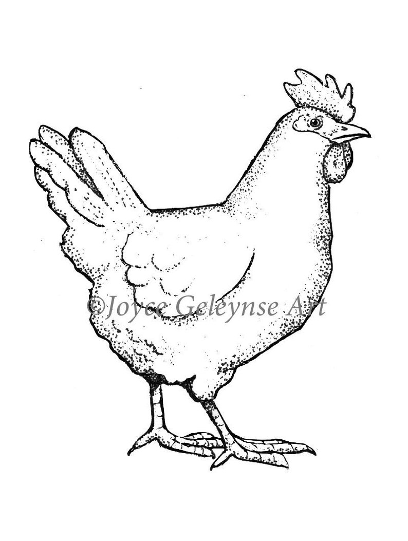 794x1053 digital stamp chicken drawing hen poultry outline art etsy - Stamp Drawing