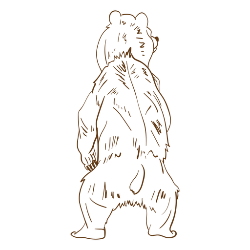 512x512 Standing Bear Rear View Stroke - Standing Bear Drawing